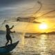 MV Wakashio insurer to pay Rs 112,000 to fishers and fishmongers