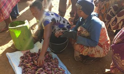 MCB gives bridge loan to producer of cactus oil