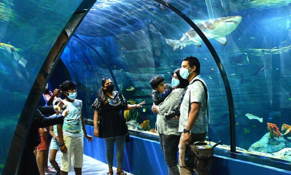 Odysseo oceanarium piling up losses; banks on schools, tourists