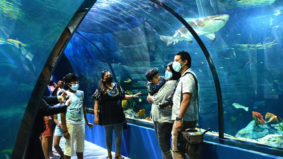 Odysseo Oceanarium to be listed on the Stock Exchange of Mauritius