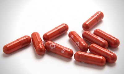 Molnupiravir inquiry triggers premature retirements and suspensions