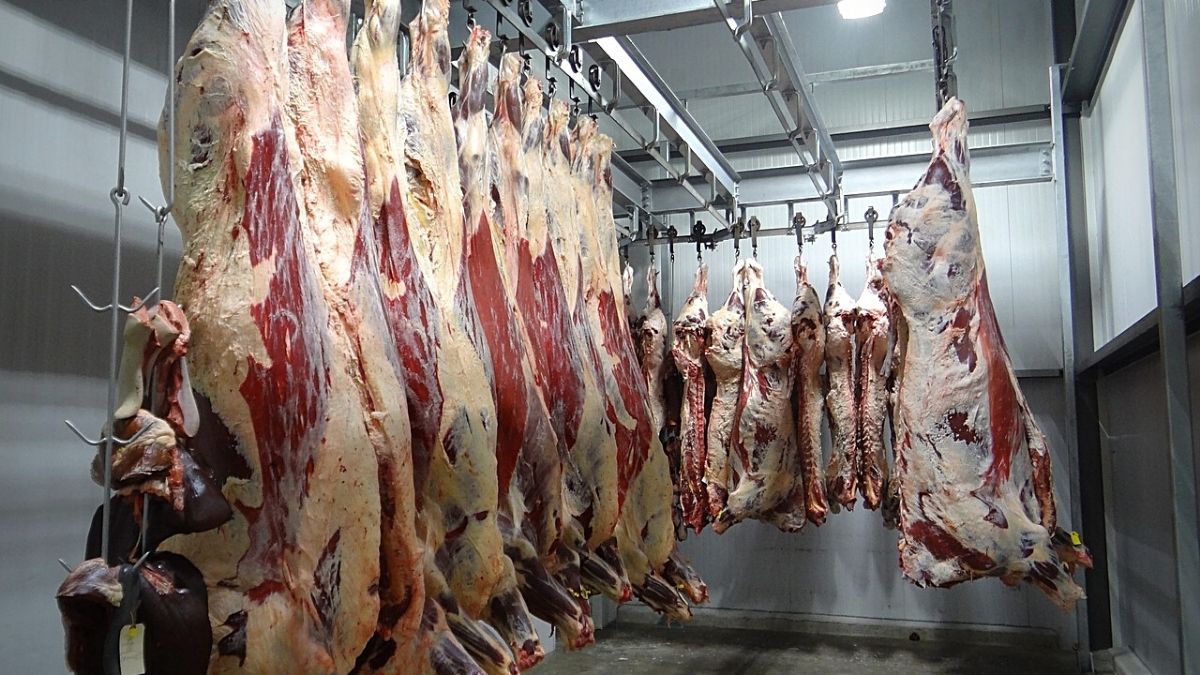 Restricted slaughter quota could entail meat shortage, butchers warn