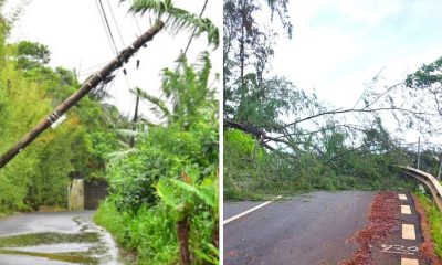 Extreme caution demanded as Alert 4 replaced by 'strong wind warning'