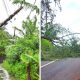 Extreme caution demanded as Alert 4 replaced by 'strong wind warning'