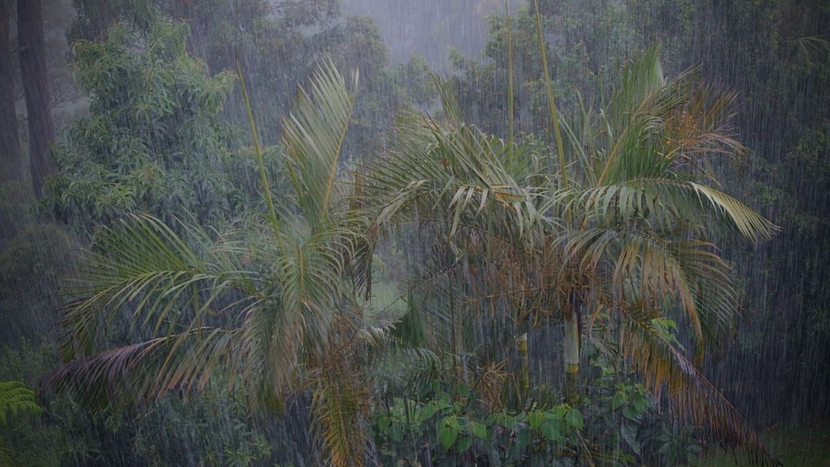 Met Office issues 'Heavy Rain' warning for March 30