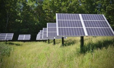 CEB’s Rs 5 Billion Solar Farm Contracts Controversy Spark Outcry