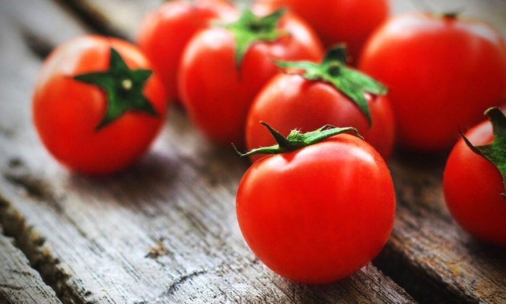 Irradiation used to develop new tomato varieties in Mauritius