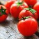 Irradiation used to develop new tomato varieties in Mauritius
