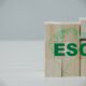 Mauritius looking for experts to help put up ESG Framework