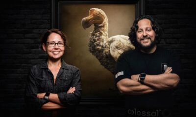 A CIA-funded startup plans to bring back the Mauritian Dodo bird