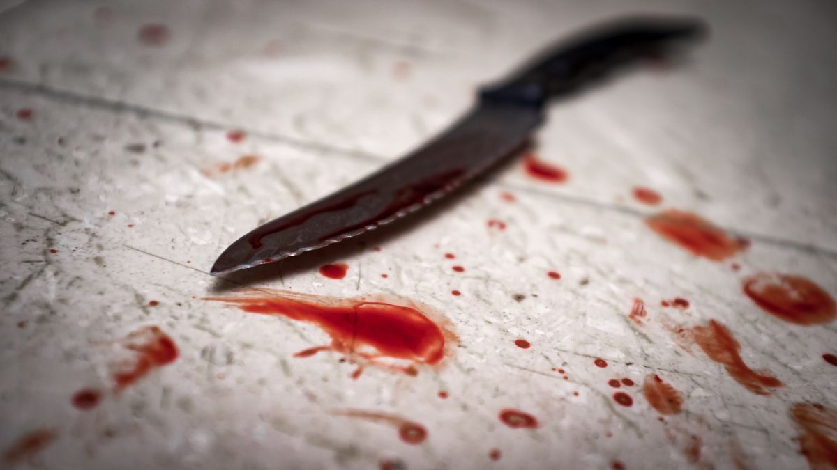 Man stabs ex-boss 19 times, blames him for Michaela Hart murder