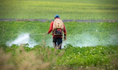 Shocking Report Exposes Mauritius as Top User of Toxic Pesticides