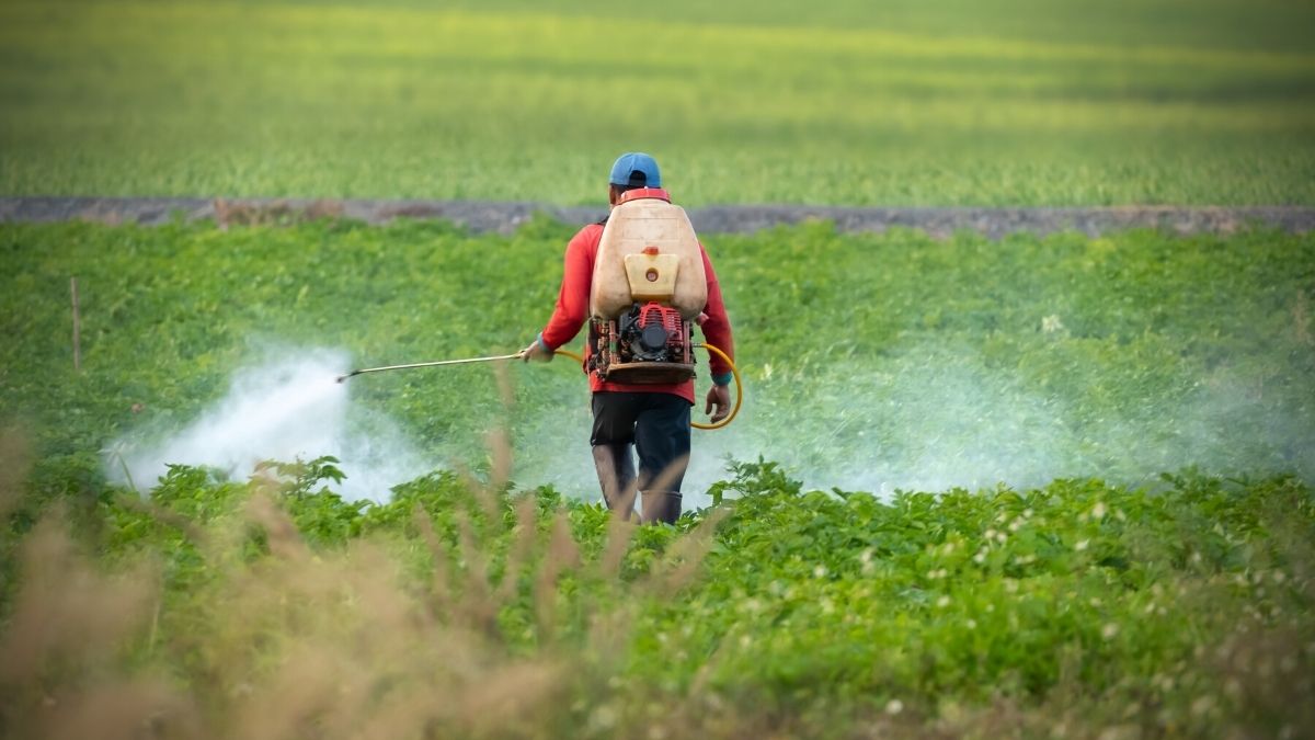 Shocking Report Exposes Mauritius as Top User of Toxic Pesticides