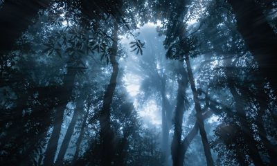 Kidnapped, Held Captive for 6 Days and Left for Dead in Woods