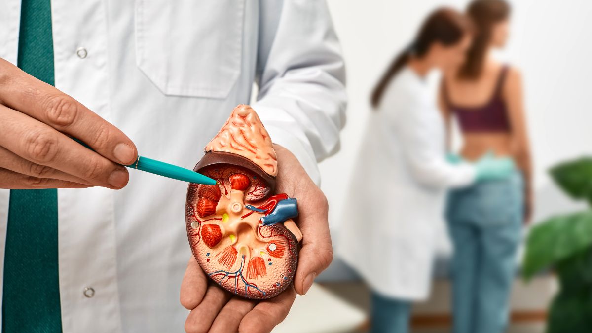 Alarming 170,000 Mauritians Afflicted with Kidney Diseases