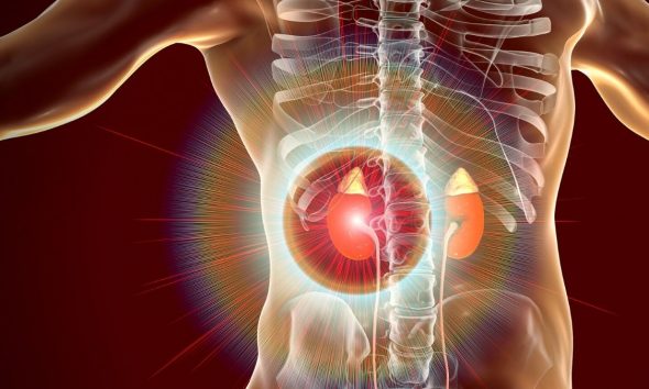 Mauritius Marks 1st-Ever Historic Kidney Transplant at Rose-Belle Hospital