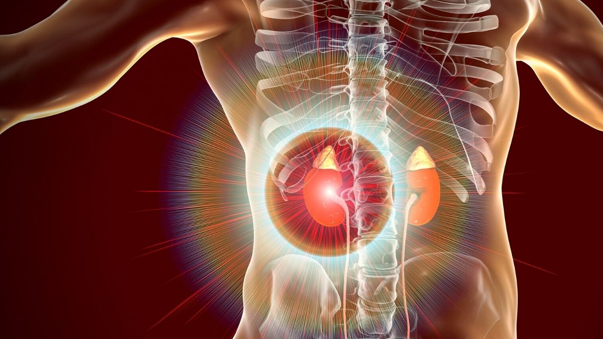 Mauritius Marks 1st-Ever Historic Kidney Transplant at Rose-Belle Hospital