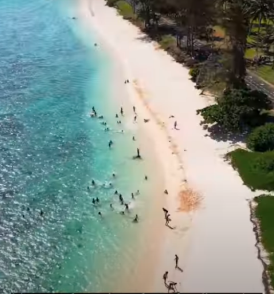 Indians & Britons Fuel 56% Search Rise for 2025 Mauritius Christmas Holidays