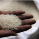 Mauritius Receives 1,325 Tonnes of Rice from India