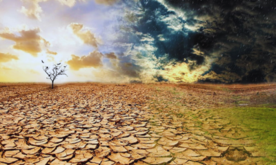 Climate Crisis: Ken Poonoosamy Predicts Rs 2.1 Billion Losses