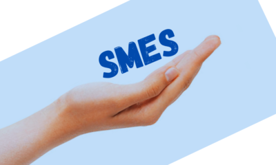 Mauritius To Give Financial Support to “Genuinely Struggling SMEs" only