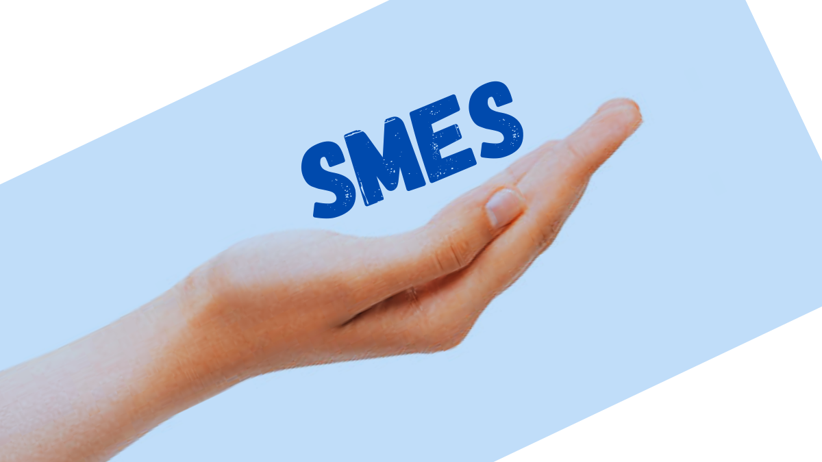 Mauritius To Give Financial Support to “Genuinely Struggling SMEs" only