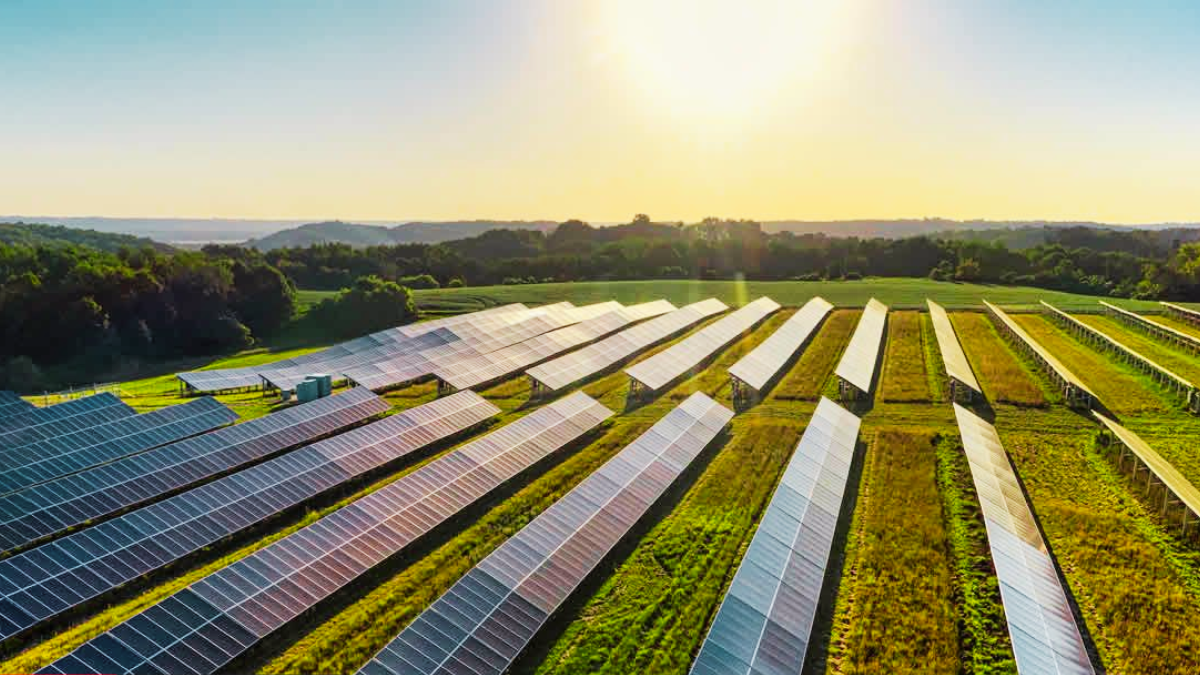 Two Solar Farms Authorised to Generate 40 MW