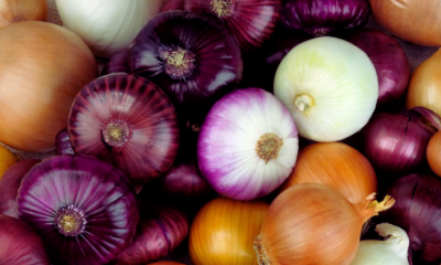India to the Rescue: 1200 Tons of Onions for Mauritius