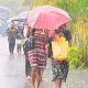 Tropical Depression: 9th Bulletin Keeps Mauritius on Alert