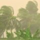 Cyclone Candice: Mauritius on Alert as Another Threat Approaches