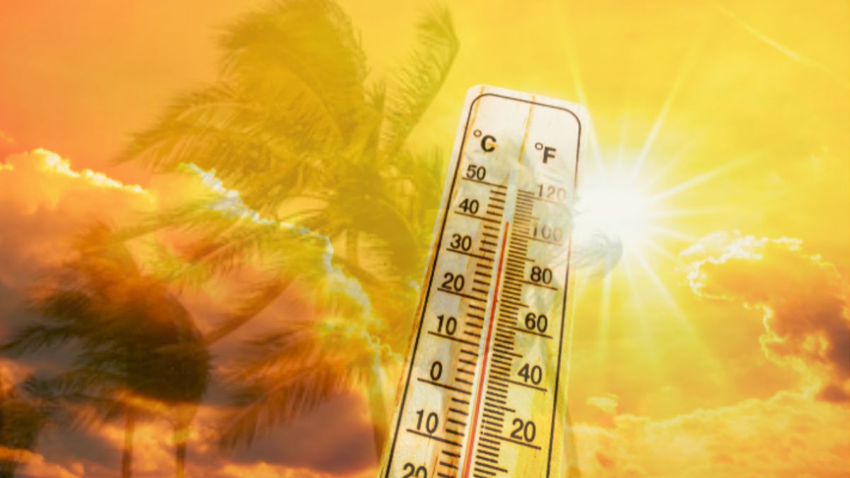 Heatwave to Sizzle Mauritius: Grab Your Sunscreen & Shades