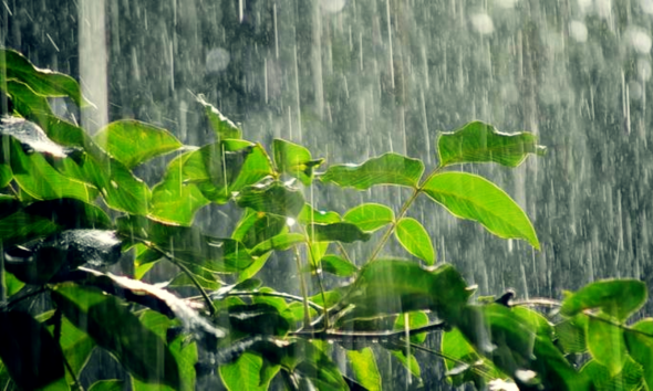 Alert in Mauritius as 2 Regions Brace for Heavy Rain and Thunderstorms