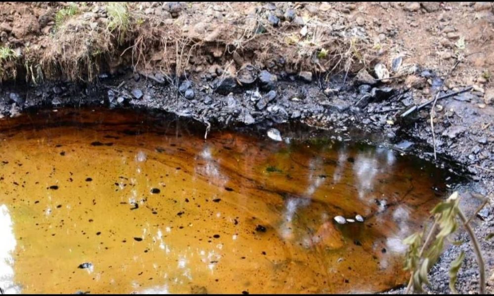 1,000 Litres of Oil Spill: Marine Disaster in Riche-Terre