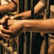 Nasty Bite: Inmate sinks teeth into guard at High Security Prison