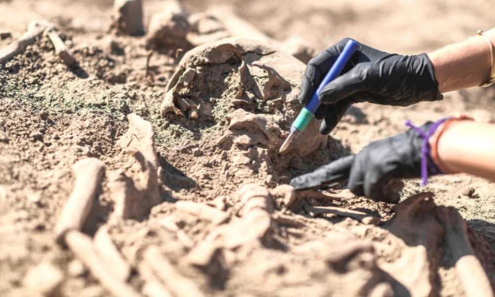 Supreme Court Orders Exhumation of a Corpse Buried... 24 Years ago!