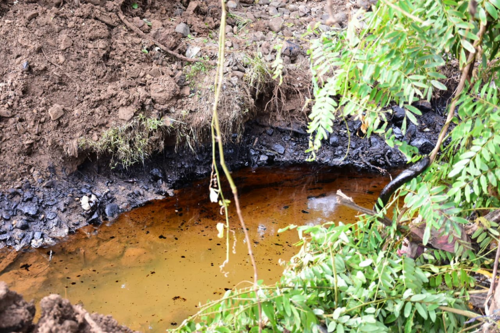1,000 Litres of Oil Spill: Marine Disaster in Riche-Terre