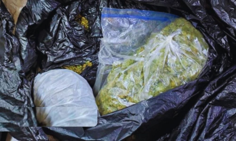 BIG BUST: 20kg Cannabis Seized, 3 Suspects Behind Bars