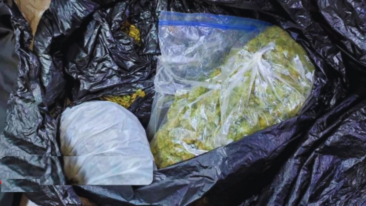 BIG BUST: 20kg Cannabis Seized, 3 Suspects Behind Bars