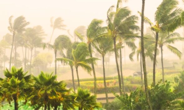 Eleanor's Fury: Cyclone Alert 3 Sweeps Mauritius Coast