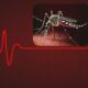 Mauritius: 2nd Dengue Death - Authorities on High Alert