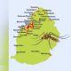 Dengue Cases Surge: 40-60 Daily, Brace for Mosquito Battle