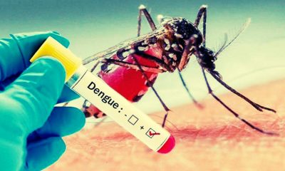 686 Cases, 444 Active: Blood Donors Urgently Needed for Dengue Fight