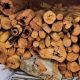 3 Sandalwood Thieves Caught Red-Handed by Police