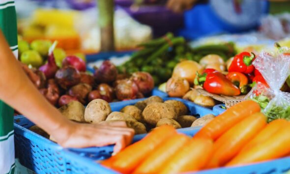 Veggie Prices Set to Drop by 50%