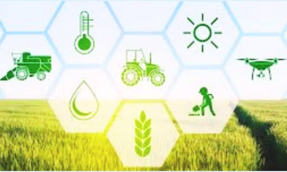 Boost for Local Farmers: Up to Rs 300,000 Available in 6 New Grants