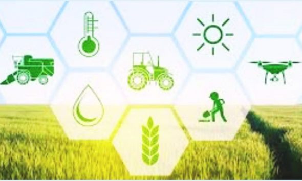 Boost for Local Farmers: Up to Rs 300,000 Available in 6 New Grants