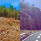 Chamarel Road Project: 9-Month Closure Ignites Environmental Concerns