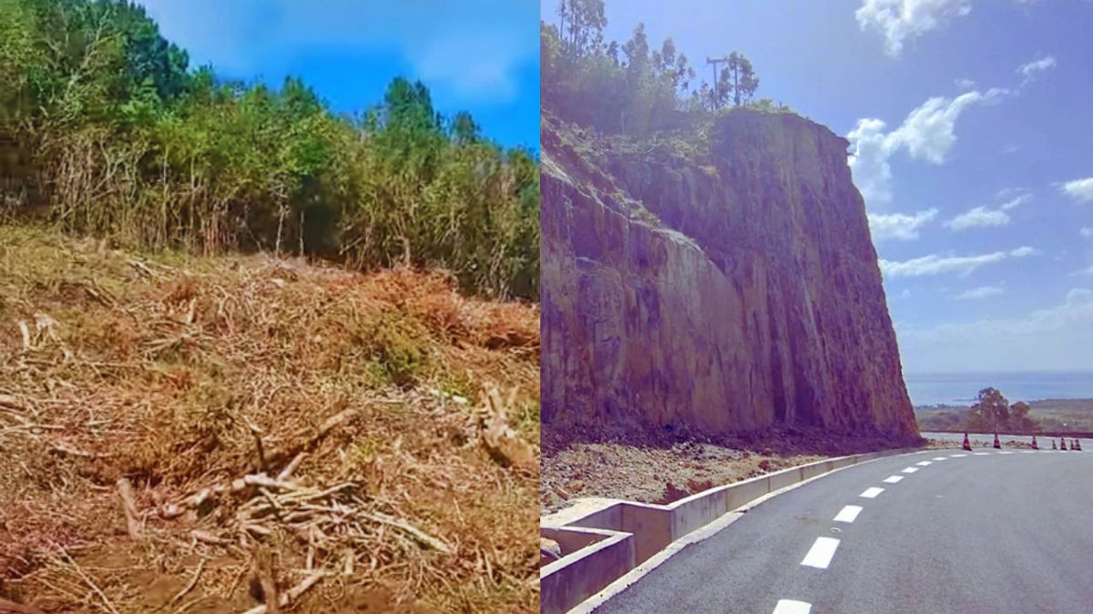 Chamarel Road Project: 9-Month Closure Ignites Environmental Concerns