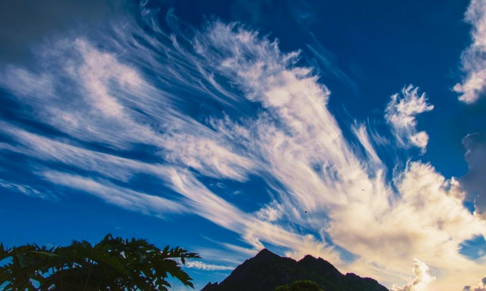 Mauritius in Top 7 Countries With Healthy Air Quality in 2023