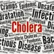 Cholera Watch: 51 Countries Under Surveillance at Mauritius Ports